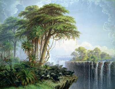 Okänd bild av Thomas Baines