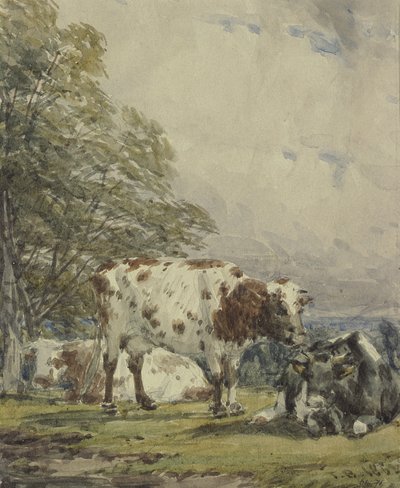 En studie av boskap, 1800-talet av Thomas Baker