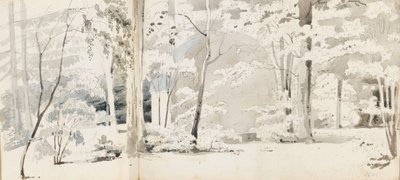 En berså omgiven av träd (recto) av Thomas Baxter