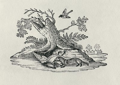 En civet med en tupp från "History of Quadrupeds", 1790 av Thomas Bewick