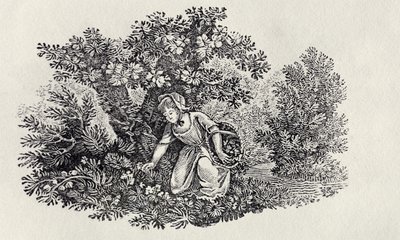 En tjej samlar blommor från "History of British Birds and Quadrupeds" av Thomas Bewick
