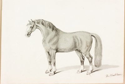 Den svarta hästen (bläck på papper) av Thomas Bewick