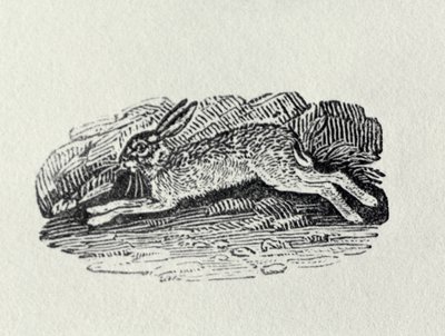 Haren från "History of British Birds and Quadrupeds" av Thomas Bewick