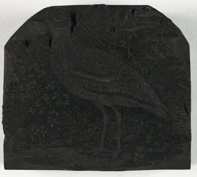 Träblock för The Great Plover, från A History of British Birds av Thomas Bewick