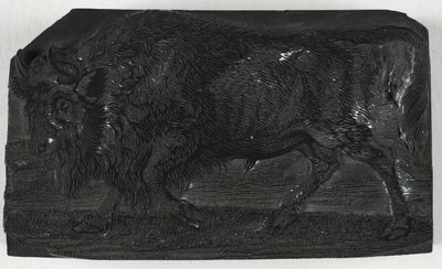 Träblock för Urus eller Wild Bull, från A General History of Quadrupeds av Thomas Bewick