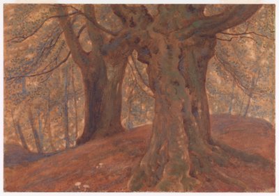 Burnham Beeches av Thomas Charles Farrer