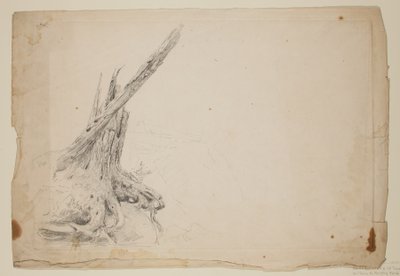 Bruten stam av ett träd (penna på papper) av Thomas Cole