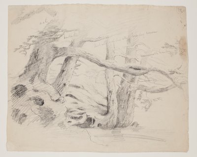 Ek- och hemlockträd (penna på papper) av Thomas Cole