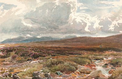A Sussex Common, c1889 av Thomas Collier