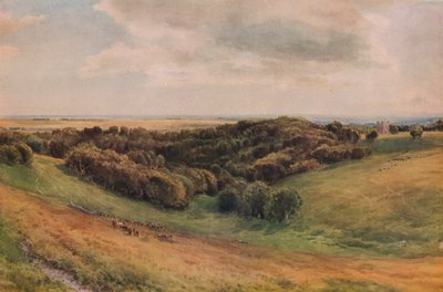 Arundel Park, 1874 av Thomas Collier