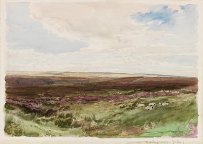 Moorland nära Hart Leap Well, Yorkshire (akvarell på papper) av Thomas Collier