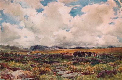 Stacking torv, Festiniog, North Wales, 1881 av Thomas Collier