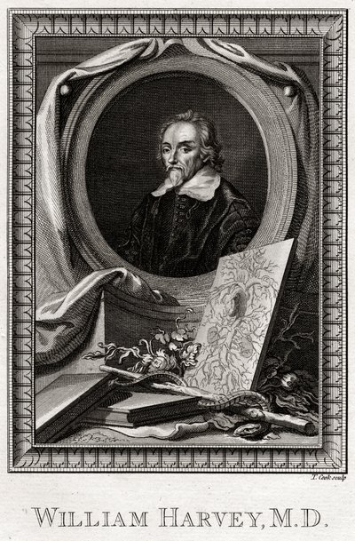 William Harvey, 1777 av Thomas Cook
