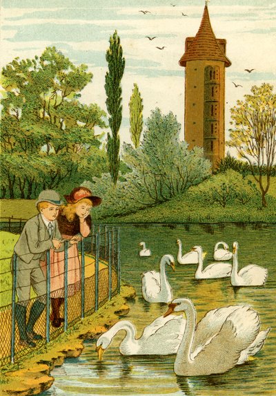 Paris Zoo - barn som tittar på svanar av Thomas Crane