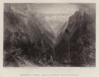 Kooner Pass, Neilgherri Mountains (färg litho) av Thomas Creswick