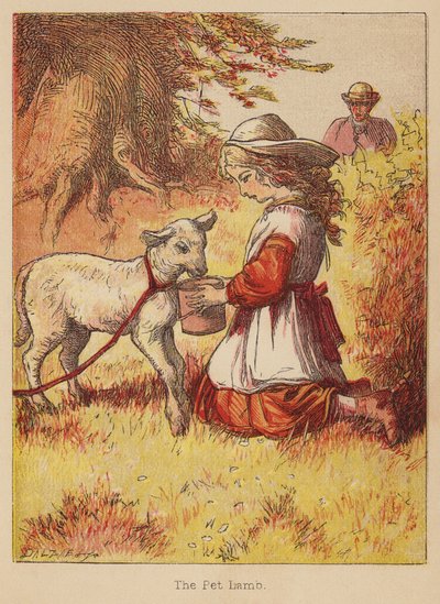 Husdjurslammet (kolorerad gravyr) av Thomas Dalziel