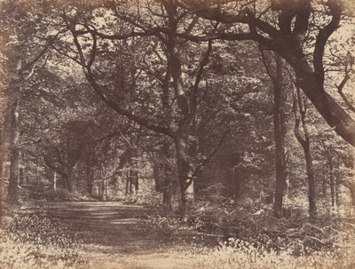 Träscen, Norton, Cheshire, 1856. av Thomas Davies