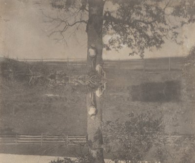 [Crowell Children i Avondale, Pennsylvania] av Thomas Eakins