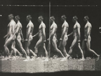 [Man Walking, Stroboscopic Photograph], 1880-tal, tryckt 1930-40-tal, 1880-tal, tryckt 1930-40-tal. av Thomas Eakins