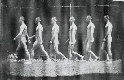 Marey Wheel-fotografier av Jesse Godley, 1884. av Thomas Eakins