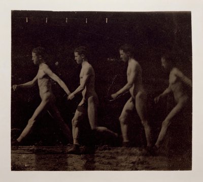 Marey Wheel-fotografier av oidentifierad modell, 1884. av Thomas Eakins