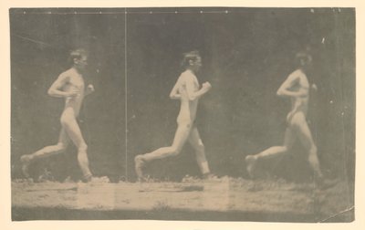 Marey Wheel-fotografier av oidentifierad modell, 1884. av Thomas Eakins