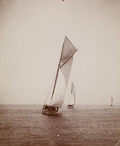 [Segelbåtar] av Thomas Eakins