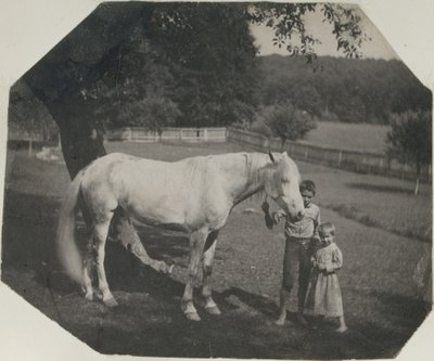 [Thomas Eakins häst Billy och två Crowell-barn i Avondale, Pennsylvania] av Thomas Eakins