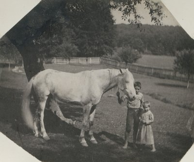 Thomas Eakins häst Billy och två Crowell-barn i Avondale, Pennsylvania, ca. 1892. av Thomas Eakins