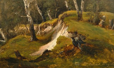 Birck stocks in Romsdal av Thomas Fearnley