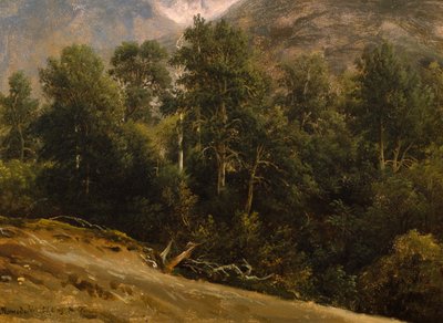 Skog i Romsdal av Thomas Fearnley