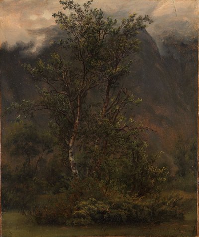  av Thomas Fearnley