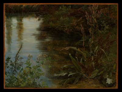  av Thomas Fearnley
