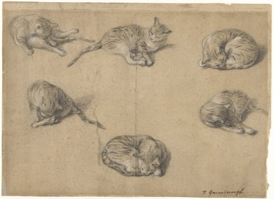 Sex studier av en katt av Thomas Gainsborough