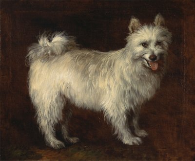 Spetshund av Thomas Gainsborough