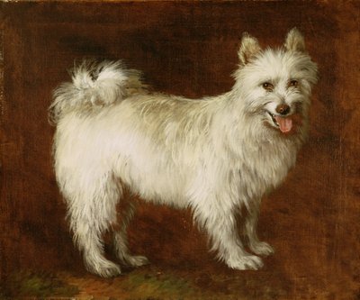 Spitz Dog, ca 1760-70 (olja på duk) av Thomas Gainsborough