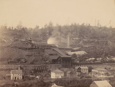 Eaton and Co:s Breaker, Archibald, Del.  Hudson Canal Co.,ca. 1863-1865 (foto) av Thomas H. Johnson