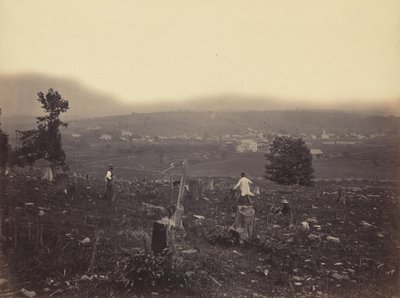 Waymart, Del. & Hudson Canal Co., ca. 1863-1865. av Thomas H. Johnson