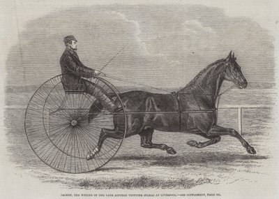 Jackey, vinnaren av framlidne Aintree Trotting Stakes i Liverpool av Thomas Harrington Wilson