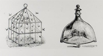 Geting- och flugfällor, från Thomas Mawsons "The Art and Craft of Garden Making", publicerad 1900 (gravyr) (s/v foto) av Thomas Hayton Mawson