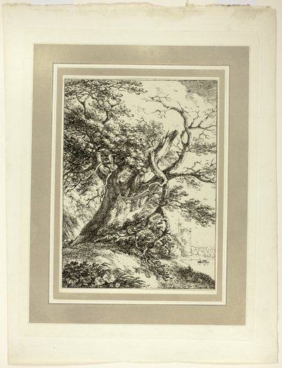 Old Tree, från första numret av Specimens of Polyautography av Thomas Hearne