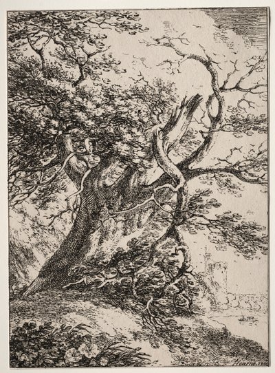 Exemplar av polyautografi: Landskap med en ek, 1803. av Thomas Hearne