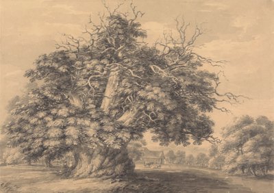 Kastanjeträdet vid Little Wymondley, Hertfordshire av Thomas Hearne