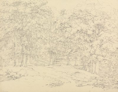 Träd i Ashtead Park, Surrey av Thomas Hearne