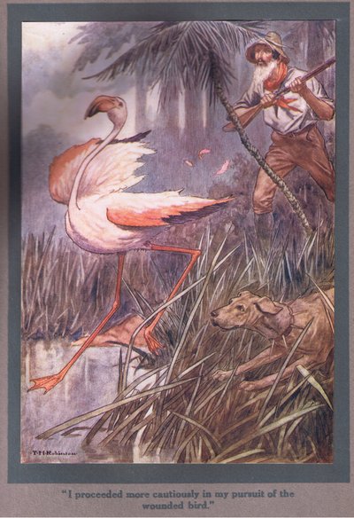 Jag gick mer försiktigt fram i min jakt på den skadade fågeln (färglitografi) av Thomas Heath Robinson