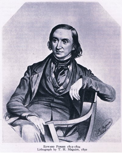 Edward Forbes (1815-1854), Nature in Britain publicerad av Collins, 1946 av Thomas Herbert Maguire