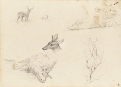Skissbok över landskap och djurämnen, 1860-64. av Thomas Hewes Hinckley