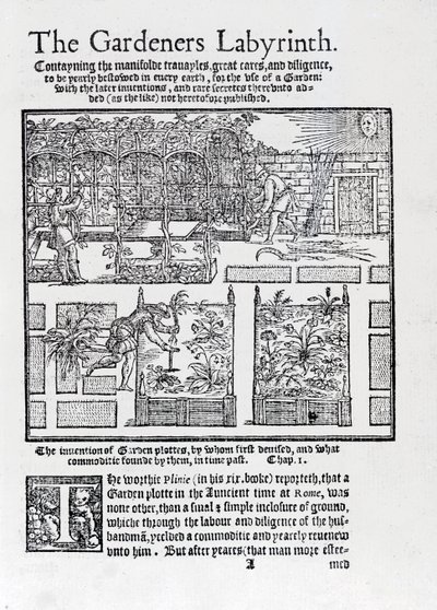 Berså byggd som en skugga mot solen och plantering i högbäddar, från The Gardeners Labyrinth, 1577 av Thomas Hill