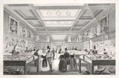 British Museum, Zoological Gallery, från puben 
