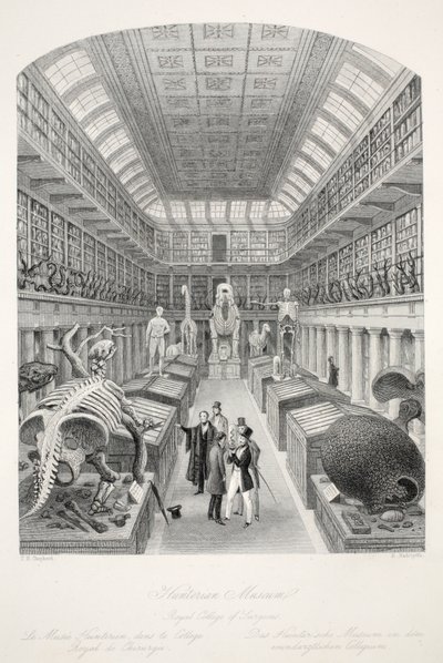 Hunterian Museum, Royal College of Surgeons, från puben "London Interiors with their Costumes and Ceremonies". Joseph Mead, London, ca 1843 (stålgravyr) av Thomas Hosmer Shepherd